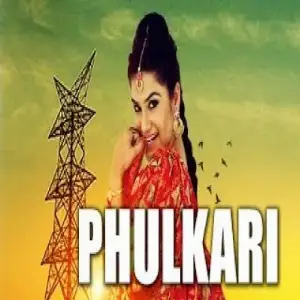 Phulkari Kaur B
