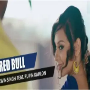 Red Bull Palwin Singh