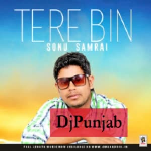 Tere Bin Sonu Samrai  Mp3 song download