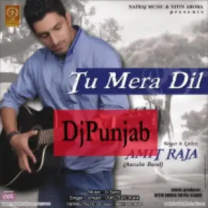Tu Mera Dil Amit Raja