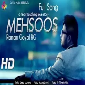 Mehsoos Raman Goyal