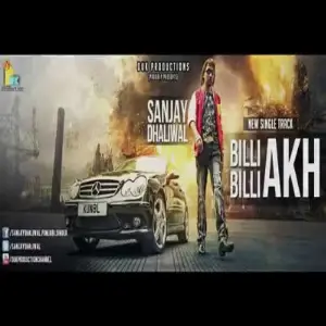 Billi Billi Akh Sanjay Dhaliwal