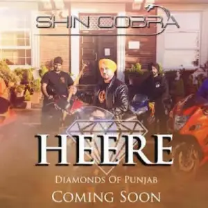 Heere Shin Cobra