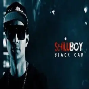 Black Car Shilu Boy