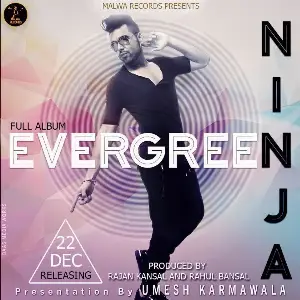 Evergreen Ninja