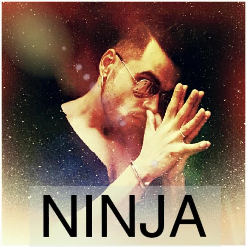 Star Ninja  Mp3 song download