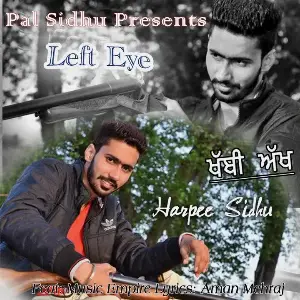 Left Eye Harpee Sidhu
