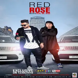 Red Rose Ravi