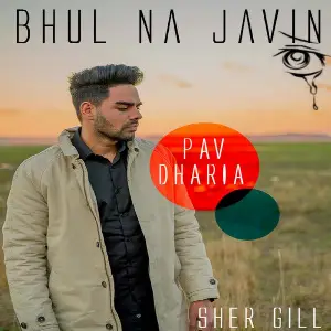 Bhul Na Javin (Cover) Pav Dharia