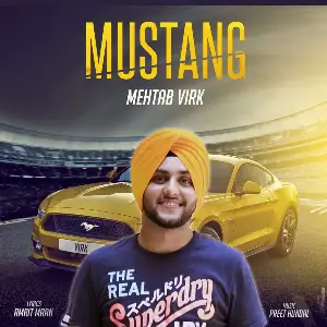 Mustang Mehtab Virk