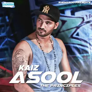 Asool (The Principles) Kaiz