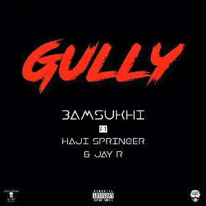 Gully Haji Springer