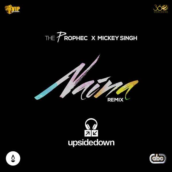 Naina (Upsidedown Remix) The Prophec  Mp3 song download