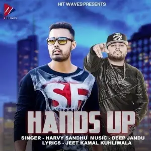 Hands Up Harvy Sandhu