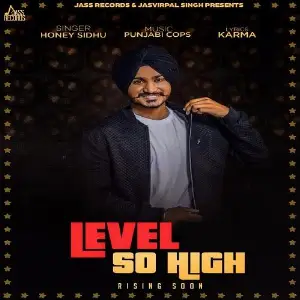 Level So High Honey Sidhu