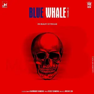 Blue Whale Varinder Sandhu