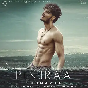 Pinjraa Gurnazar