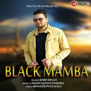Black Mamba Babu Singh