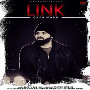 Link Cash Mann