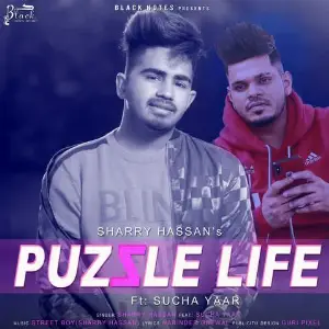 Puzzle Life Sharry Hassan