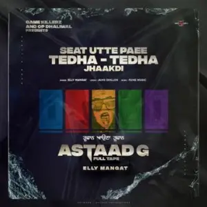 Seat Utte Paee Tedha Tedha Elly Mangat