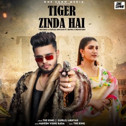 Tiger Zinda Hai The King Mp3 song download