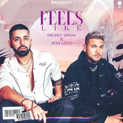 Feels Like Mickey Singh  Mp3 song download