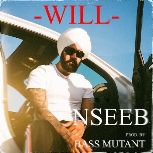 Will Nseeb