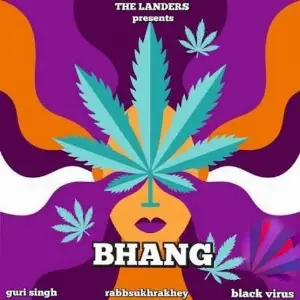 Bhang, hemp, cannabis: What's the difference?