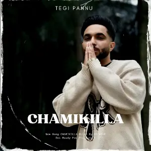 Chamikilla Tegi Pannu