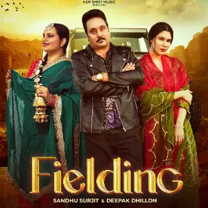 Fielding Sandhu Surjit