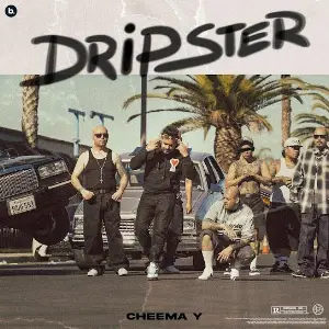 Dripster Cheema Y