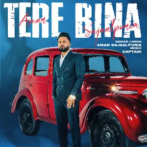 Tere Bina Amar Sajaalpuria