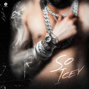 SO ICEY Te-G Sandhu