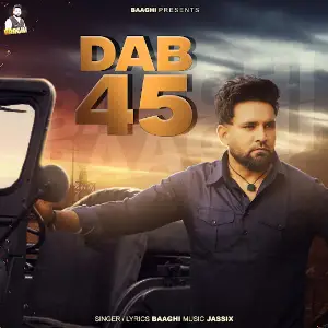 Dab 45 Baaghi