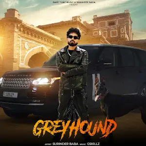 Greyhound Surinder Baba