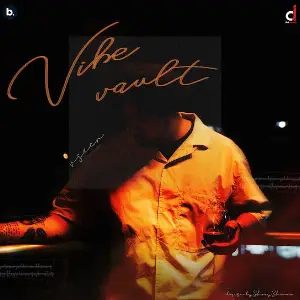 Vibe Vault EP Vseer