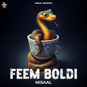 Feem Boldi Misaal