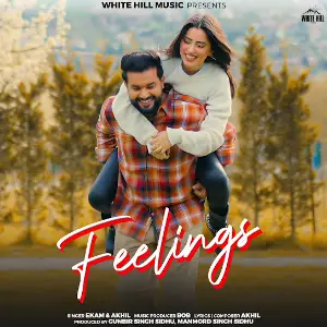 Feelings Akhil