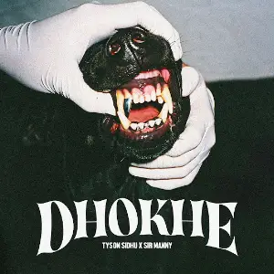 Dhokhe Tyson Sidhu