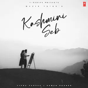 Kashmiri Seb Wazir Patar