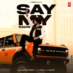 Say My Name Satkar Sandhu