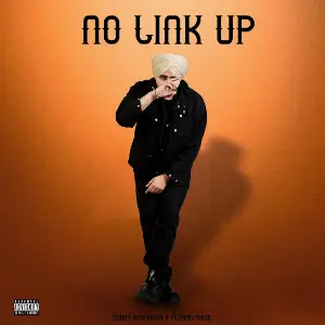 No Link Up Sunny Randhawa