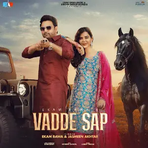 Vadde Sap Ekam Bawa