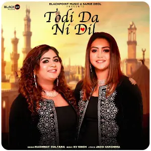 Todi Da Ni Dil Hashmat Sultana