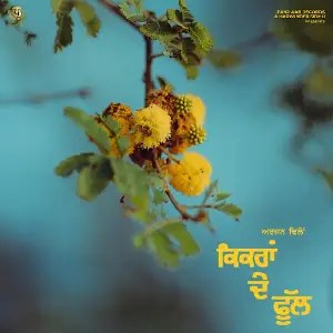 Kikran De Phull Arjan Dhillon