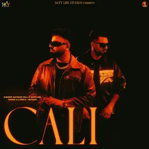 Cali Navroz Gill