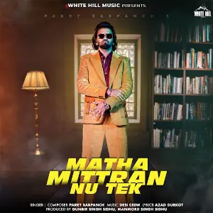 Matha Mittran Nu Tek Parry Sarpanch