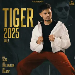 Tiger picture