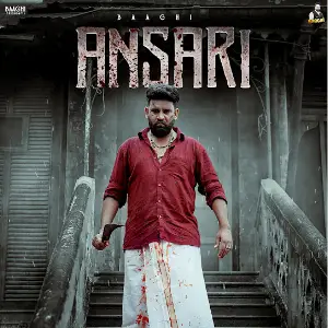 Ansari Baaghi